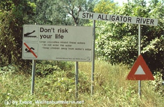 alligatorschild