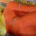 Sri Lanka Basics