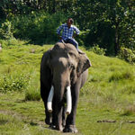 Mein perfekter Tag im Chitwan Nationalpark