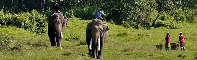 Mein perfekter Tag im Chitwan Nationalpark