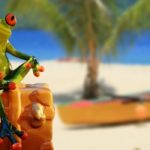11 Packtipps nicht nur für Frauen
