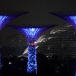 Singapur - Großstadt und Dschungel